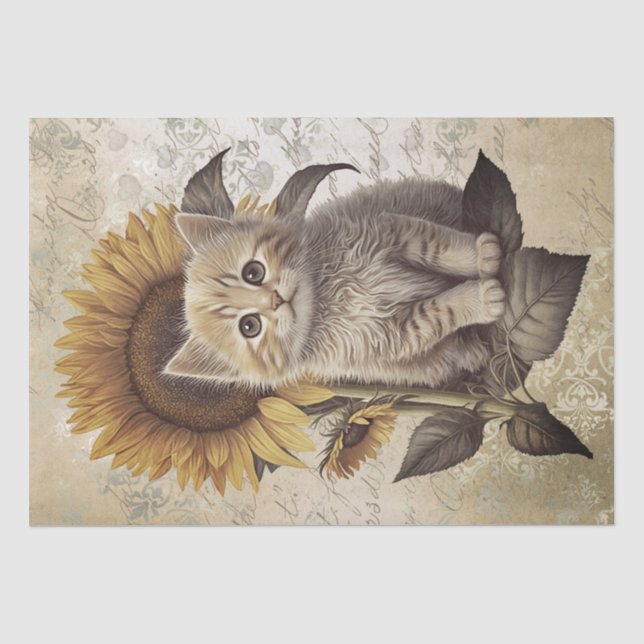 Khao Manee Kitten Sunflower Cat Tissue Paper (Front)