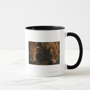 Khwai River, Moremi Wildlife Reserve, Botswana Mug