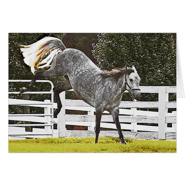 Kicking Up Heals (Front Horizontal)