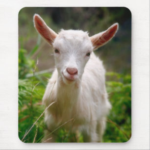 Kid Goat Mouse Pad