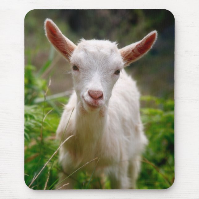 Kid Goat Mouse Pad (Front)