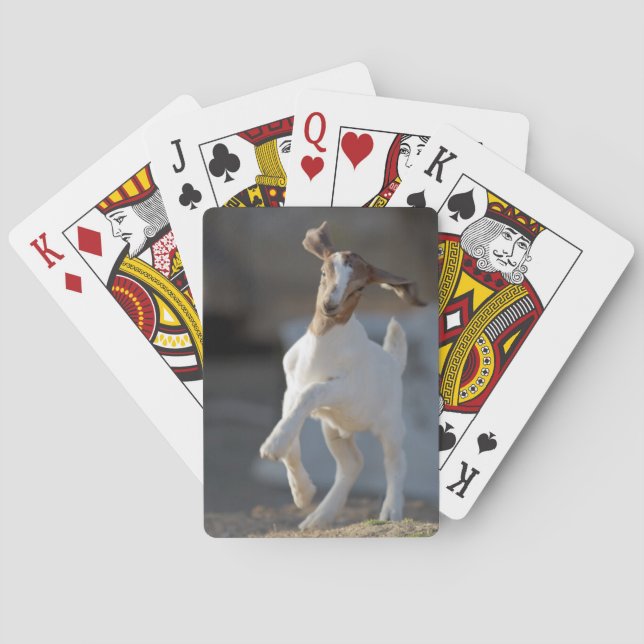 Kid Goat Playing Cards (Back)