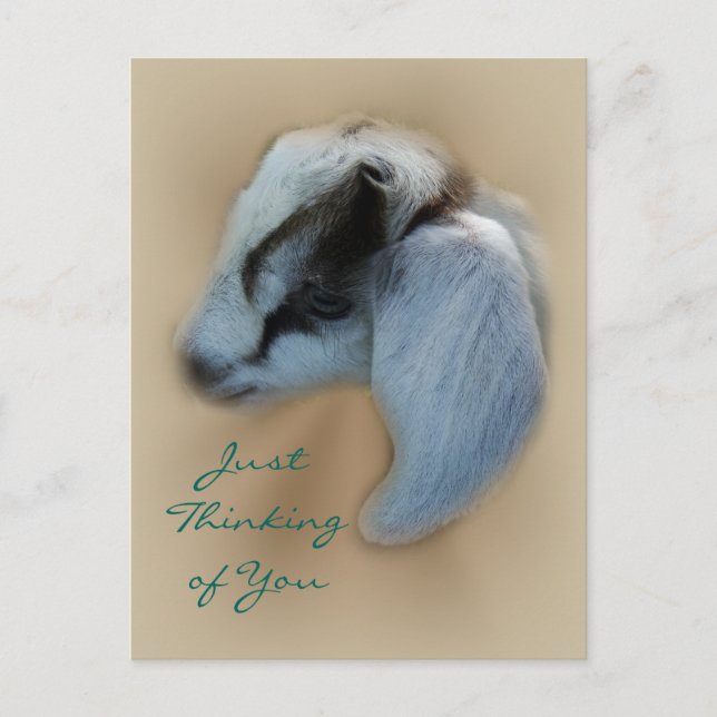 Kid Goat Postcard- customise Postcard (Front)