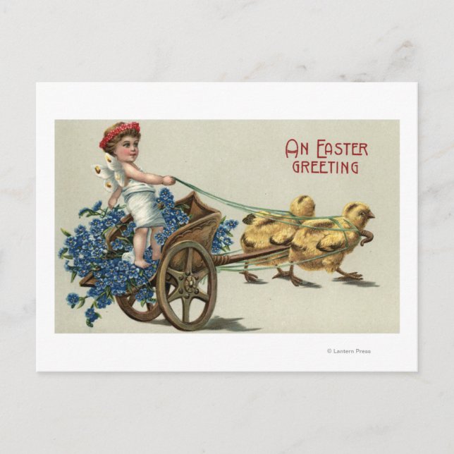 Kid in Toga on Chariot Pulled by Chicks Postcard (Front)