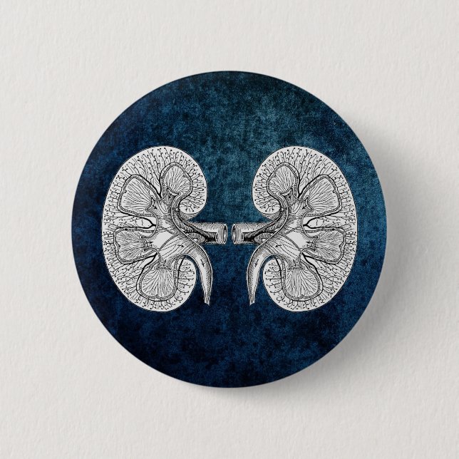 KIDNEY 2 DRAWING 6 CM ROUND BADGE (Front)