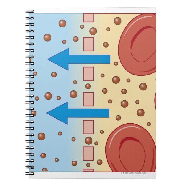 Kidney Dialysis Spiral Notebook (Front)