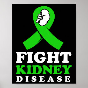 Kidney Disease Fighter Poster