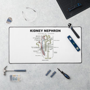 Kidney Nephron Gray's Anatomy Textbook  Desk Mat