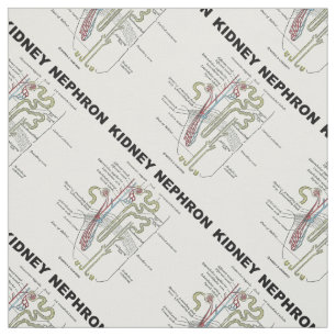 Kidney Nephron Grey's Anatomy Textbook  Fabric