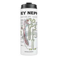 Kidney Nephron Grey's Anatomy Textbook