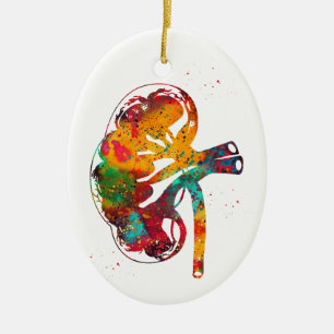 Kidney section ceramic tree decoration