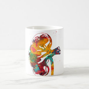 Kidney section coffee mug