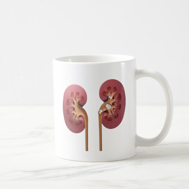 kidneys coffee mug (Right)
