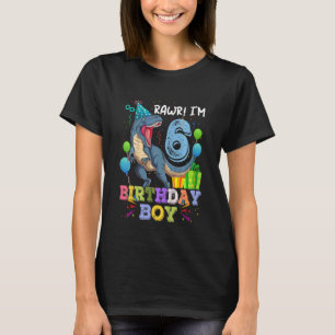 Kids 6th Birthday Rawr I m 6 Rex Dinosaur Party F T-Shirt