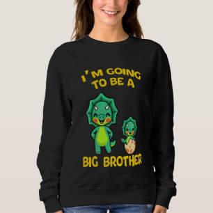 Kids Big Brother 2022 2023  Promoted To Big Brothe Sweatshirt