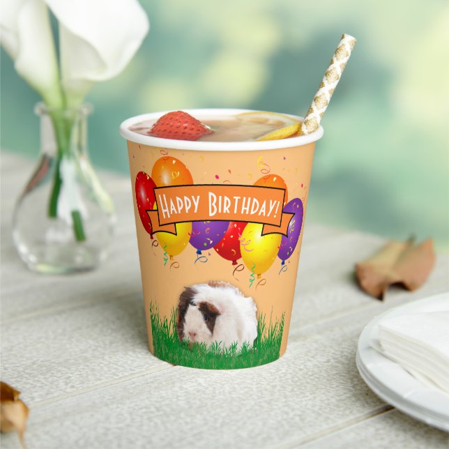Kids Birthday Guinea Pig Balloons Orange Banner Paper Cups (Insitu)