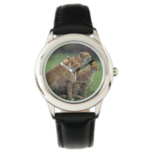 Kids Classic Watch/Wildlife Cheetah's Watch
