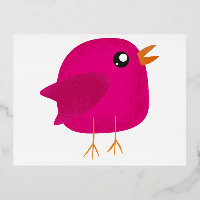 Kids cute birdy 