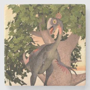 Kids Gigantoraptor Dinosaur Adventure Art Stone Coaster
