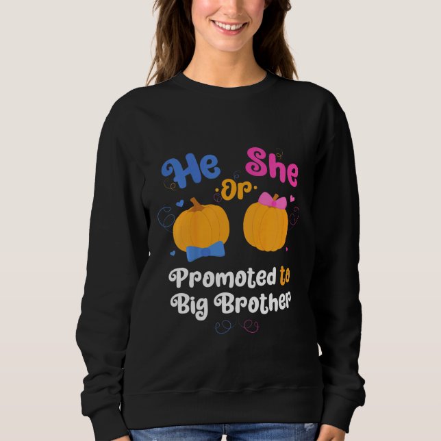 Kids He Or She Promoted To Big Brother Gender Reve Sweatshirt (Front)