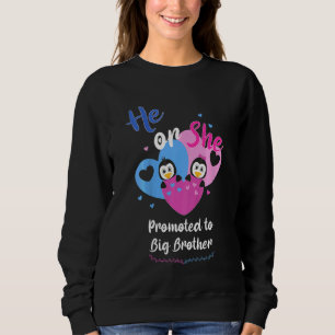 Kids He Or She Promoted To Big Brother Penguin Gen Sweatshirt
