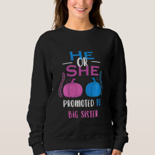 Kids He Or She Promoted To Big Sister Gender Revea Sweatshirt