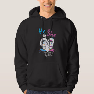 Kids He Or She Promoted To Big Sister Penguin Gend Hoodie