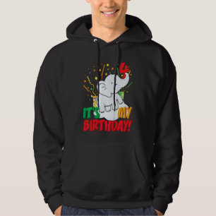 Kids It's My Birthday Elephant 4 Birthday Party Hoodie