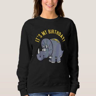 Kids Kids Cute Birthday Party Dinosaur Theme For G Sweatshirt