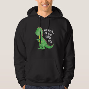 Kids Little Dinosaur With Colourful Balloons Baby Hoodie