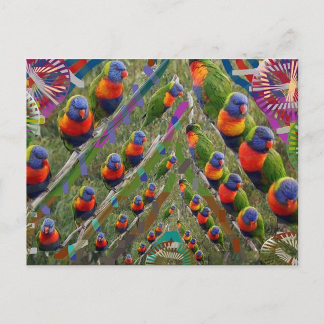 KIDS love Parrots Postcard (Front)