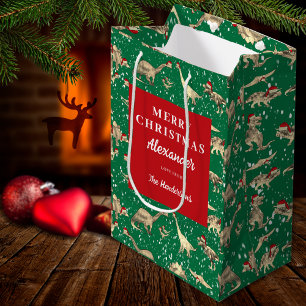 Kids Personalised Christmas Dinosaurs in the Snow Medium Gift Bag