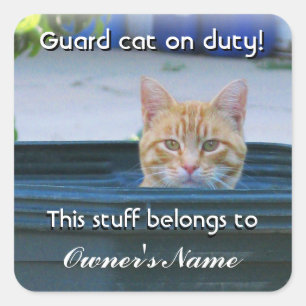Kid's Personalised Sticker--Guard Cat on Duty Square Sticker