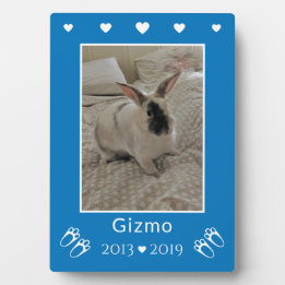 Kids Pet Bunny Rabbit Loss | Blue Photo Memorial Plaque