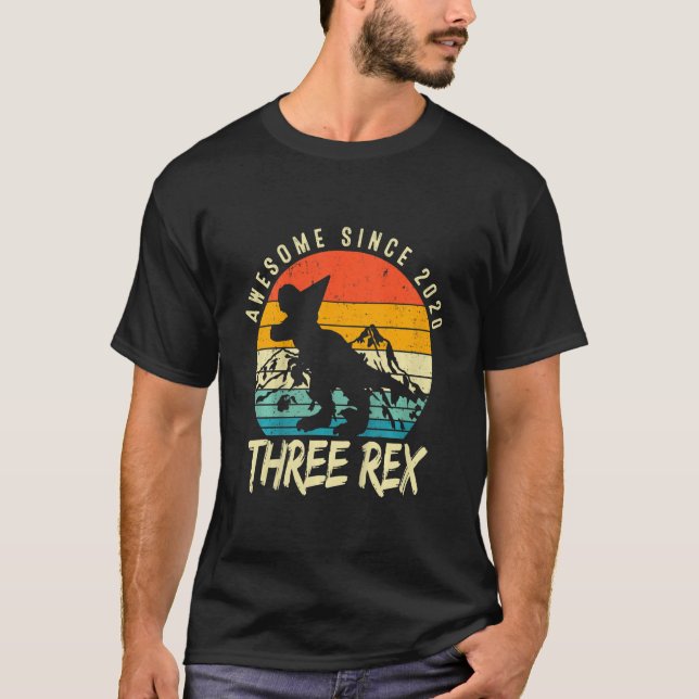 Kids Three Rex 3rd Birthday Boy Third Dinosaur Awe T-Shirt (Front)