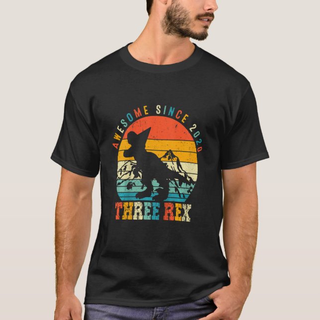 Kids Three Rex 3rd Birthday Boy Third Dinosaur Awe T-Shirt (Front)