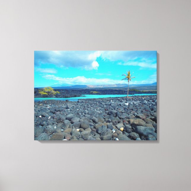 Kiholo Bay captured scenic view Hawaii canvas Print (Front)