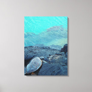 Kiholo Bay Hawaii land and sea turtles canvas Print