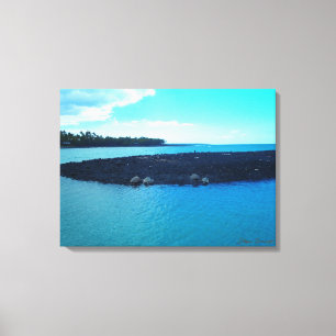 Kiholo Bay turles coastline scenic Hawaii canvas Print