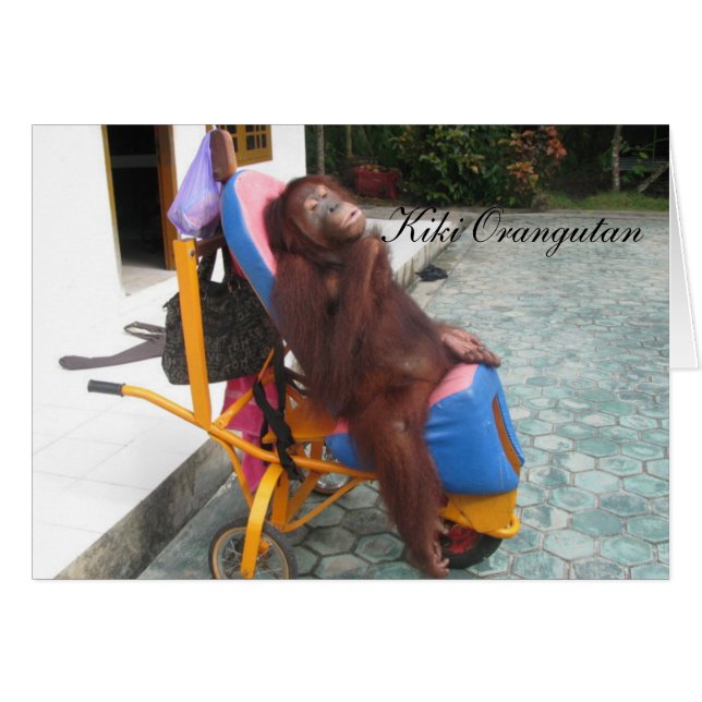 KiKi Orangutan OFI Charity (Front Horizontal)