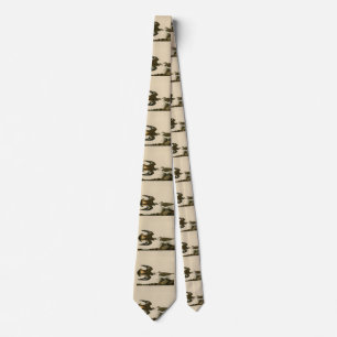Kildeer Plover (Killdeer) Audubon Birds of America Tie