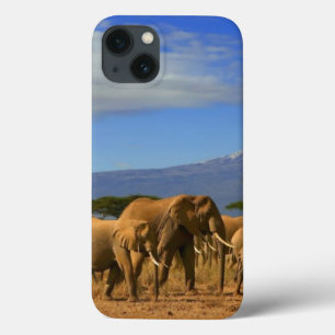 Kilimanjaro And Elephants iPhone 13 Case