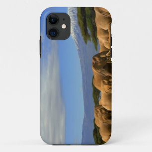 Kilimanjaro And Elephants Case-Mate iPhone Case