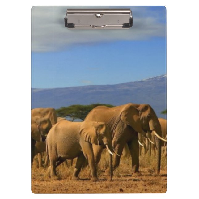 Kilimanjaro And Elephants Clipboard (Front)
