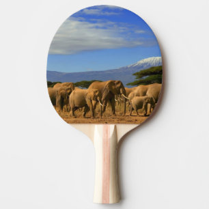 Kilimanjaro And Elephants Ping Pong Paddle