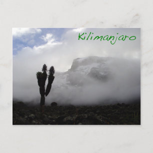 Kilimanjaro Postcard