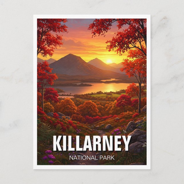 Killarney National Park Ireland Travel Postcard (Front)