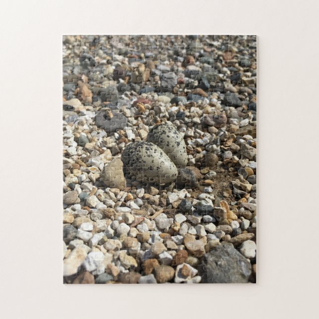 Killdeer Eggs In Gravel Jigsaw Puzzle (Vertical)
