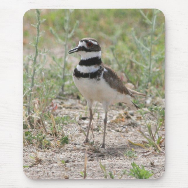 Killdeer Mousepad (Front)