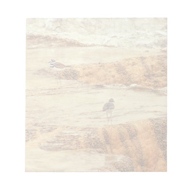 Killdeer Notepad (Front)